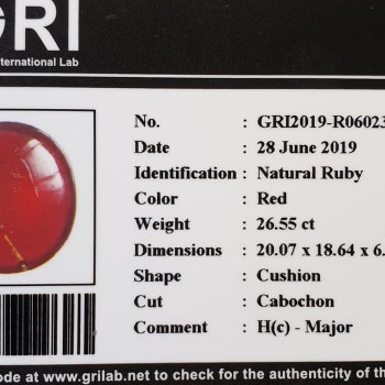 551295_6c1a27f7-c8d0-4ec0-92ea-1827619a192f_928_928[1][1]